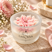 Spring Collection